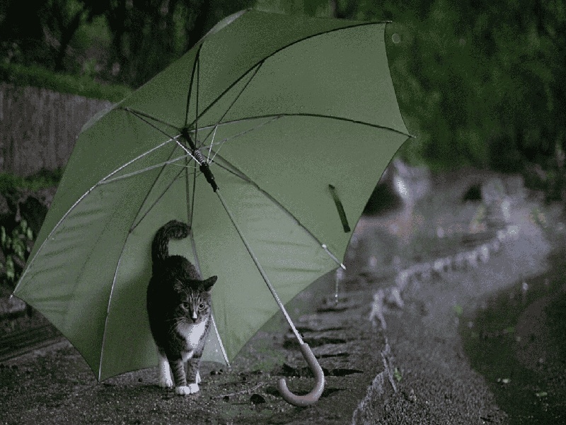 刘女士成功案例